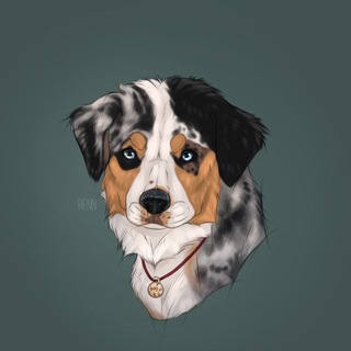 Логотип @frey_ari - Aussi_Frey