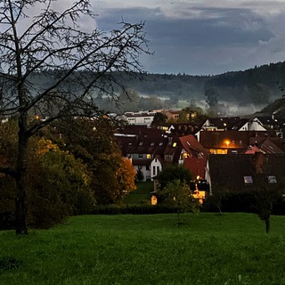 Логотип @frg222 - Через тернии к звездам. Политическое убежище 2022