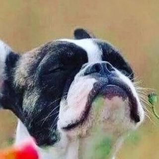 Логотип @friday_moods - Пятничное настроение