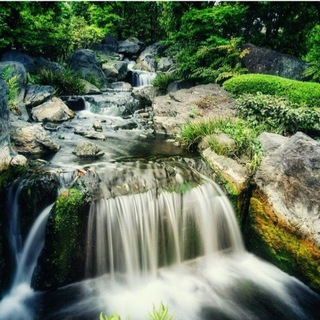 Логотип @friedensbewusstsein - INNERE QUELLE spricht❤️‍🔥Petra Schachtschneider 👑🕊💦