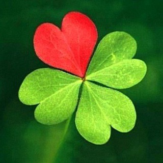 Логотип @friendly_ireland - Friendly Ireland 🇮🇪❤️