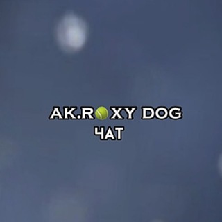 Логотип @friendlydoggychat - 𝗔𝗞.𝗥𝗢𝗫𝗬 чᴀт