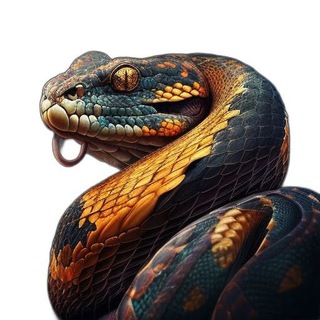 Логотип @friendlypythonforyou - Python for you