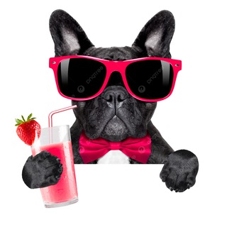 Логотип @frigolade - Французский юмор