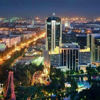 Логотип @frilend_zone - Frilend Zone