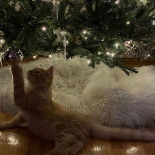 Логотип @frilgb - МОТИВАЦИЯ✨