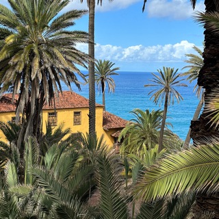 Логотип @fritsheng - Цифровые кочевники в Испании/ ВНЖ Испании