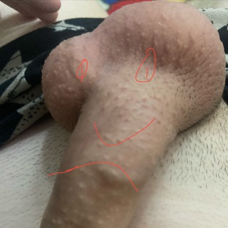 Логотип @frizensgu - Америка параша