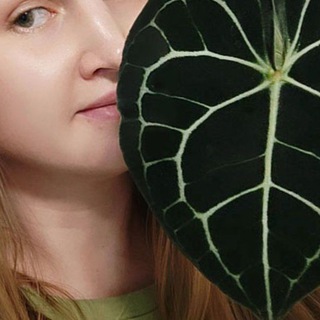 Логотип @fromiraforu - Ирагенная зона 💚