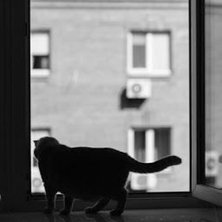 Логотип @fromwindow - Вид из моего окна