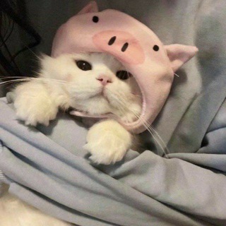 Логотип @frosifix - frosifix || ресурсы 💗