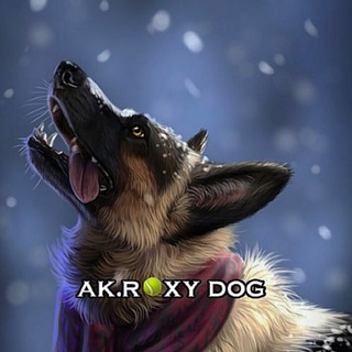 Логотип @froxygoo - 𝗔𝗞.𝗥𝗢𝗫𝗬 𝗗𝗢𝗚