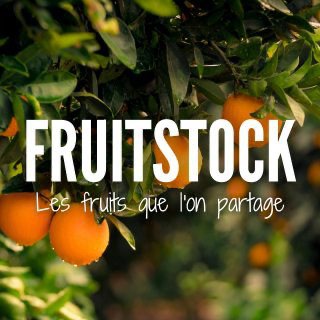 Логотип @fruitstock - FRUITSTOCK