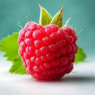 Логотип @frukt_nsk54 - Свежая ягода из Беларуси🍓