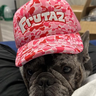 Логотип @frutazofficialsxotics - Frutaz Official⛽️