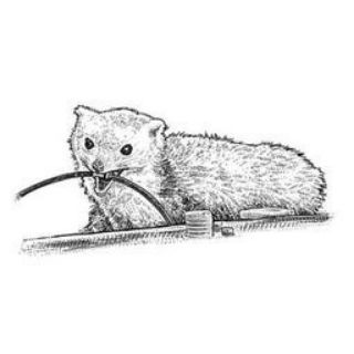 Логотип @fuckcars - /r/fuckcars