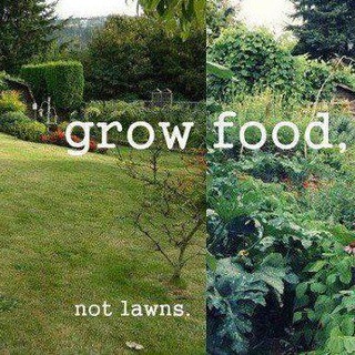 Логотип @fuckgrass - FUCK LAWNS