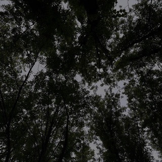 Логотип @fuckzannes - занне́с