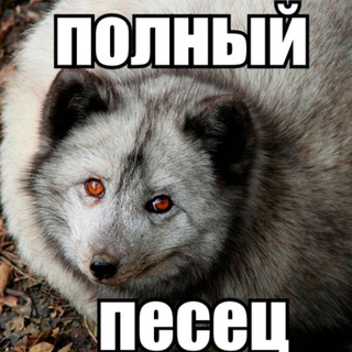 Логотип @full_arctic_fox - Полный Песец или новый мир???