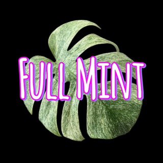 Логотип @full_mint - Full Mint 🍀 растения | коты