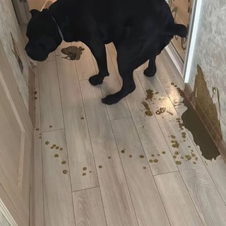 Логотип @fullsttm - Qq