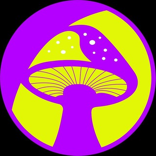 Логотип @fungolive - 🚨 Fungo Live 🚨