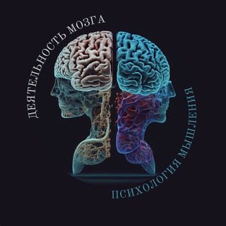 Логотип @funkciyamozga - ДЕЯТЕЛЬНОСТЬ МОЗГА 🧠| Новое Мышление