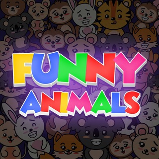Логотип @funnny_animals - FUNNY ANIMALS 🙈