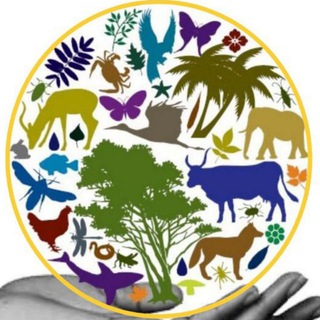 Логотип @funny_animals_2021 - Забавные животные | Funny animals🐶🐱🦊🦁🐰