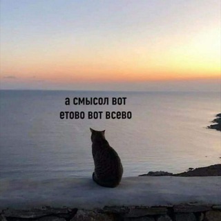 Логотип @funny_pictures_from_alex - Веселые картинки