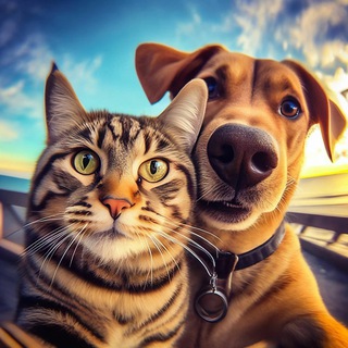 Логотип @funny_tail - Забавные животные