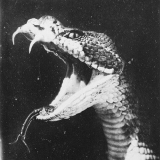 Логотип @funnyastrology - Funny Astrology & More