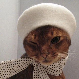 Логотип @funnykittyc - Смешно шутим