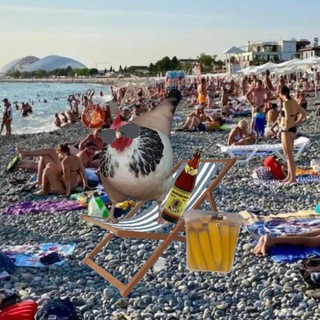 Логотип @funnyparrots - Птичий рынок