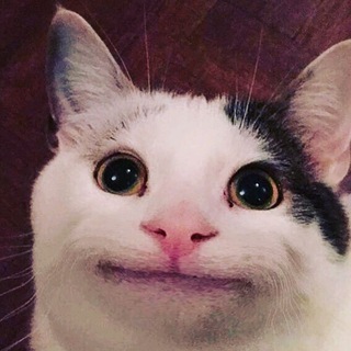 Логотип @funshortsenjoy - #Shorts | Мемы | Смешные видео