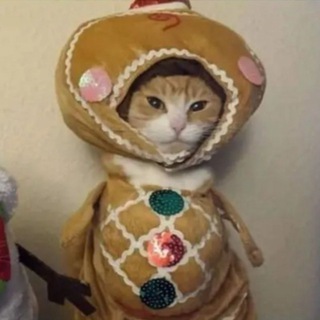 Логотип @funtimework - t.me/bratvadezza