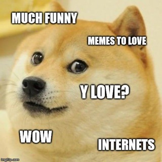 Логотип @funvideomemes - Doge Videos