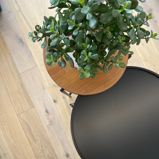 Логотип @furniture_msk - Furniture_MSK