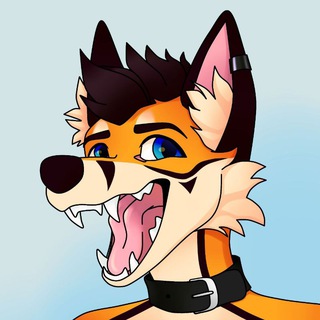 Логотип @furry_tep_original - _/\_FURRY_/\_