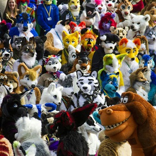 Логотип @furrycorkboard - Furry CorkBoard & Group Finder