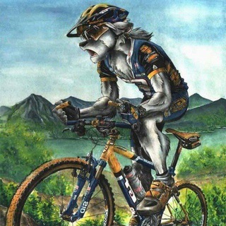 Логотип @furryriders - Шерстяные Каталы едут...