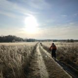 Логотип @furryriders_chat - Шерстяной чат