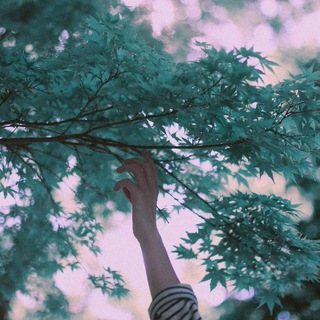 Логотип @futashik1 - dor1xq |