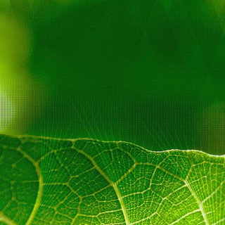 Логотип @futureneurotech - Generative Deep Nets