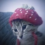 Логотип @fytagedit_chat - 💋ЧАТ | Эдиты/Футажи💋