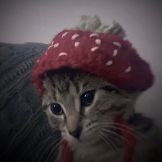 Логотип @fytagedits - fytages.edits