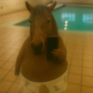 Логотип @g_e_o_n_y_x - G_G ВАСЬКА