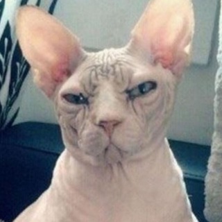Логотип @gadalka228 - Разоблачение странных аккаунтов😱