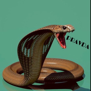 Логотип @gadyach_gadyuka - ГАДЮКА 🐍