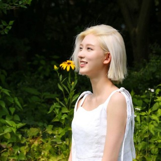 Логотип @gaeul_dive - - 𝐆𝐀𝐄𝐔𝐋 • 𝐈𝐕𝐄 -